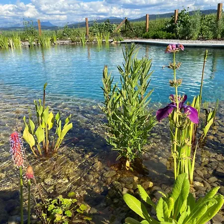Отель Bio Garni Moeschberg *