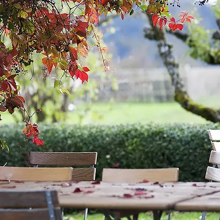 Bio Garni Moeschberg Отель Grosshochstetten