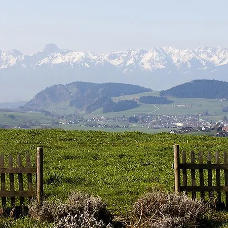 Отель Bio Garni Moeschberg